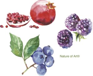 How to Make Paint, Inks & Dyes from Nature with Montessori Art